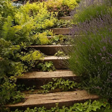 Lisa - Lisa - 3 Bedroom سخلادميخ