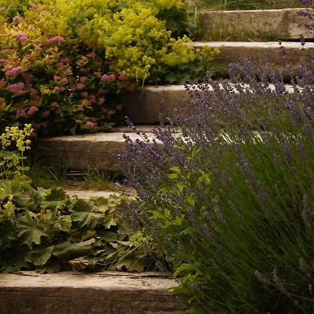 شقة Lisa - Lisa - 3 Bedroom سخلادميخ