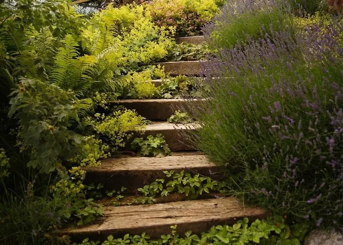 Lisa - Lisa - 3 Bedroom *