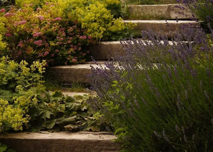 Lägenhet Lisa - Lisa - 3 Bedroom Schladming